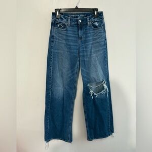American Eagle Outfitters Ripped Blue low rise skater jeans